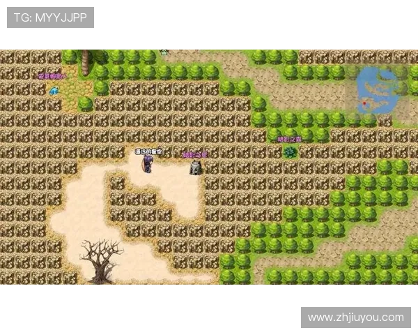 掌握凯发官网会员登录技巧提升游戏体验与账号安全保障